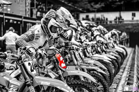 ROMAIN FEBVRE // ERNÉE (NOIR ET BLANC, PLAQUE ROUGE)